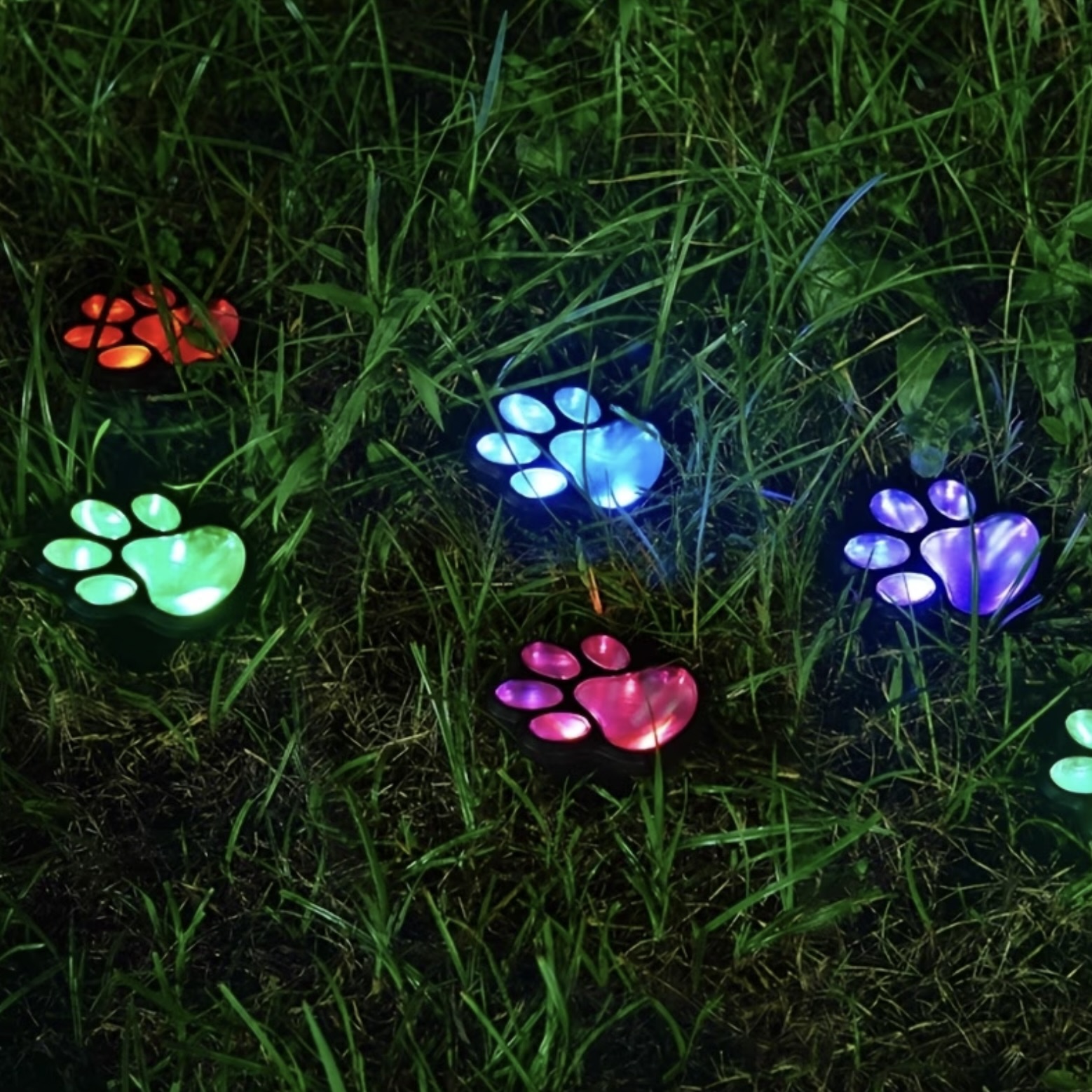 Multi Colour (Includes 6)