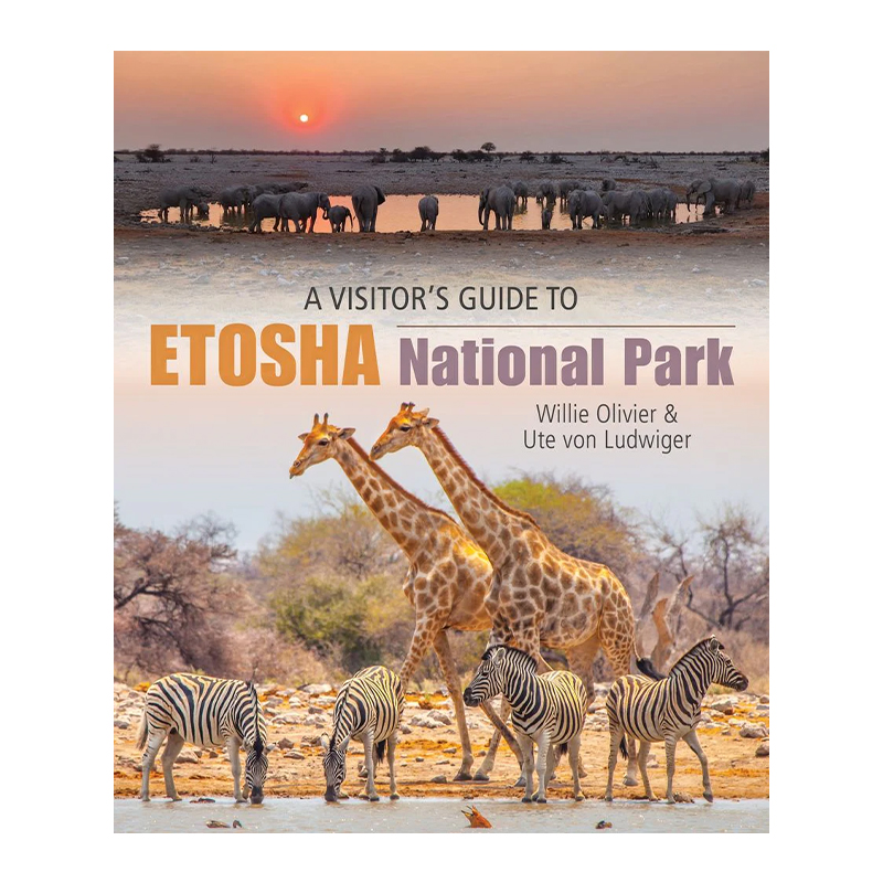 A Visitor's Guide To Etosha National Park (Paperback)