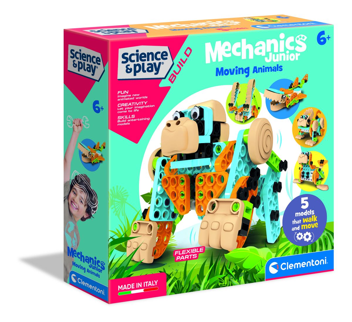 Mechanics Lab Animals: Animals in Movement