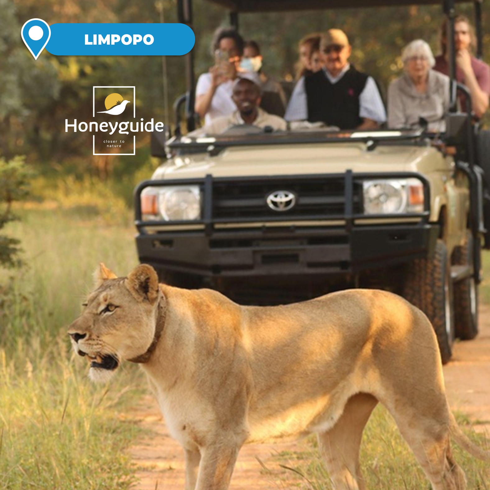 2 or 3-Night Stay at the 4* Luxury Tented Ranger Camp for 2 People Sharing