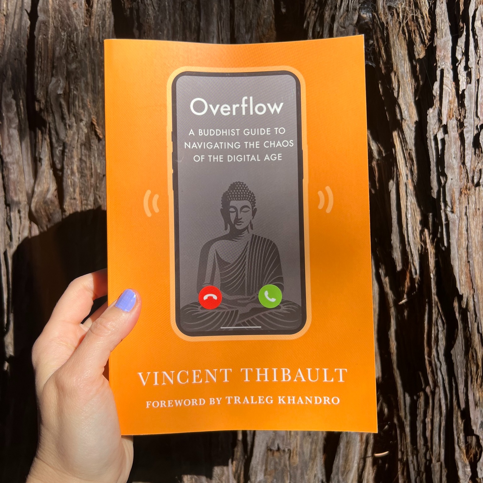 Overflow: A Buddhist Guide to Navigating the Chaos of the Digital Age (Paperback)