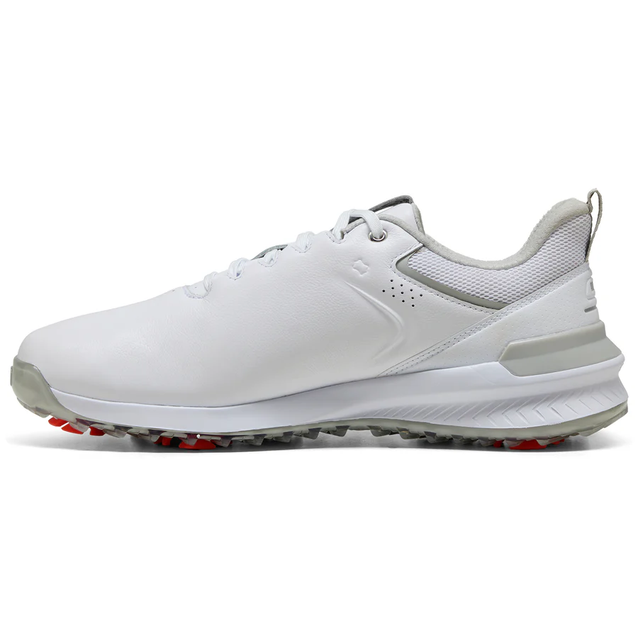 White/Ash Grey