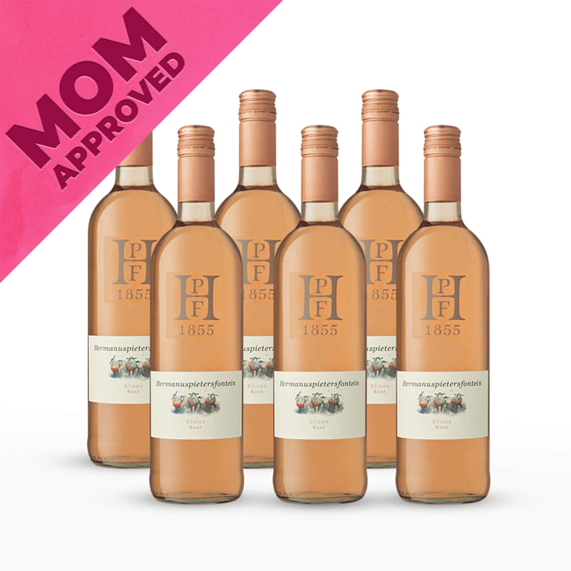 6x Bloos Rosé 2025
