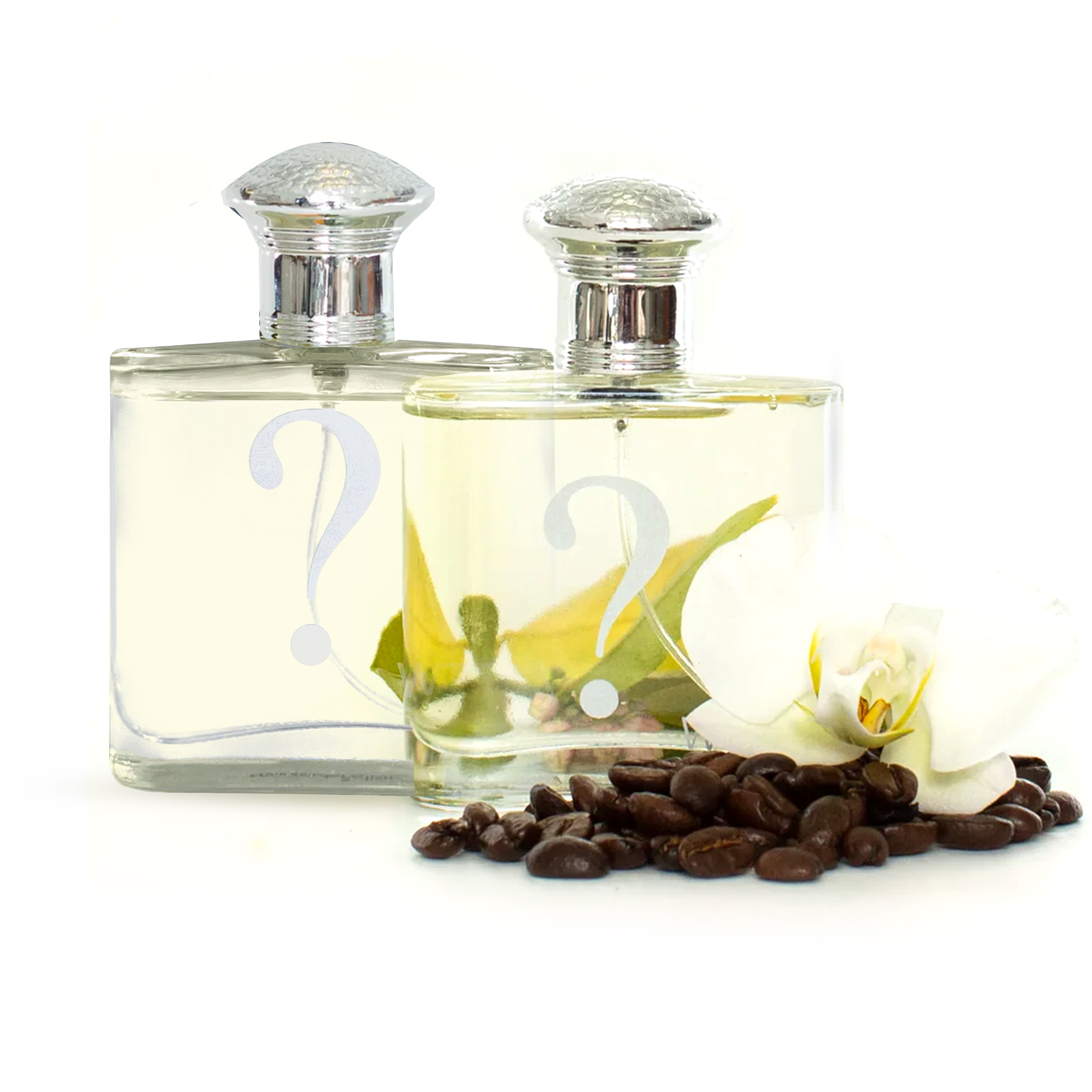 Inspired by Black Opium - Bundle Contents - Bundle Contents