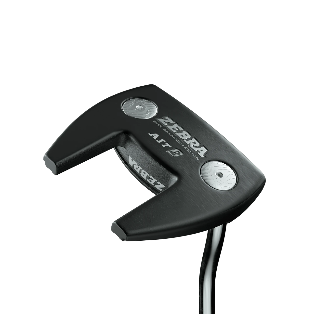 AIT2 Putter