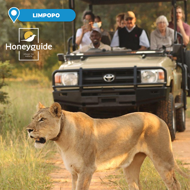 2 or 3-Night Stay at the 4* Luxury Tented Ranger Camp for 2 People Sharing