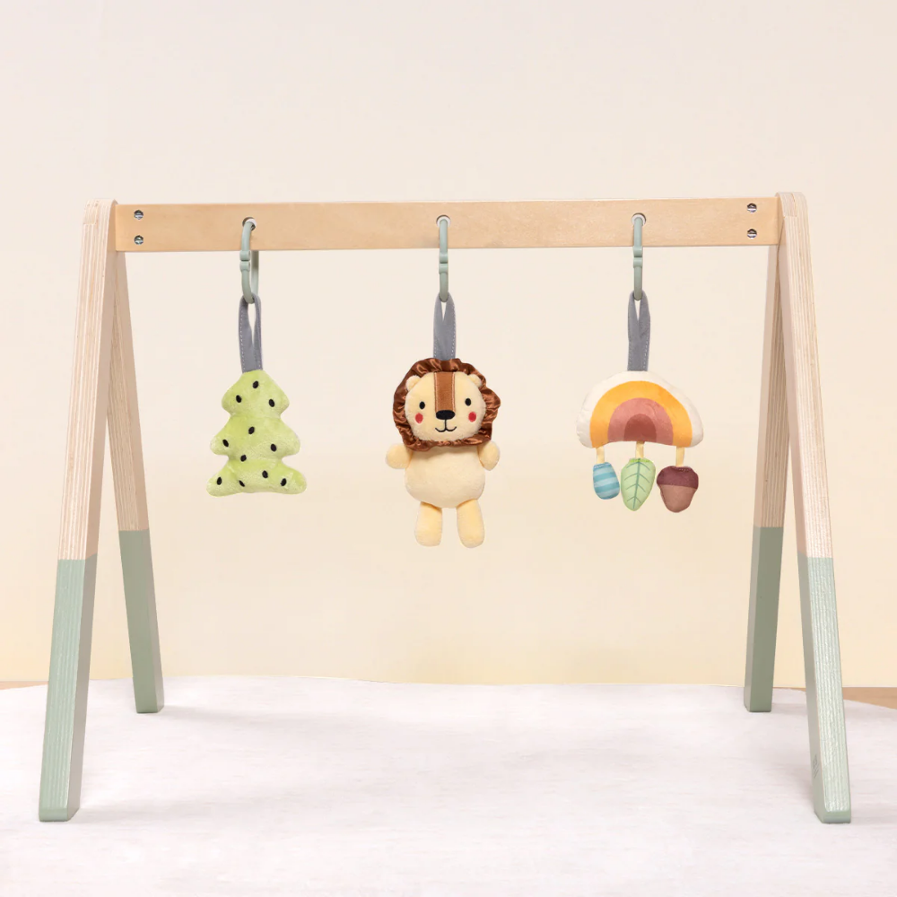 Portable Wooden Baby Gym