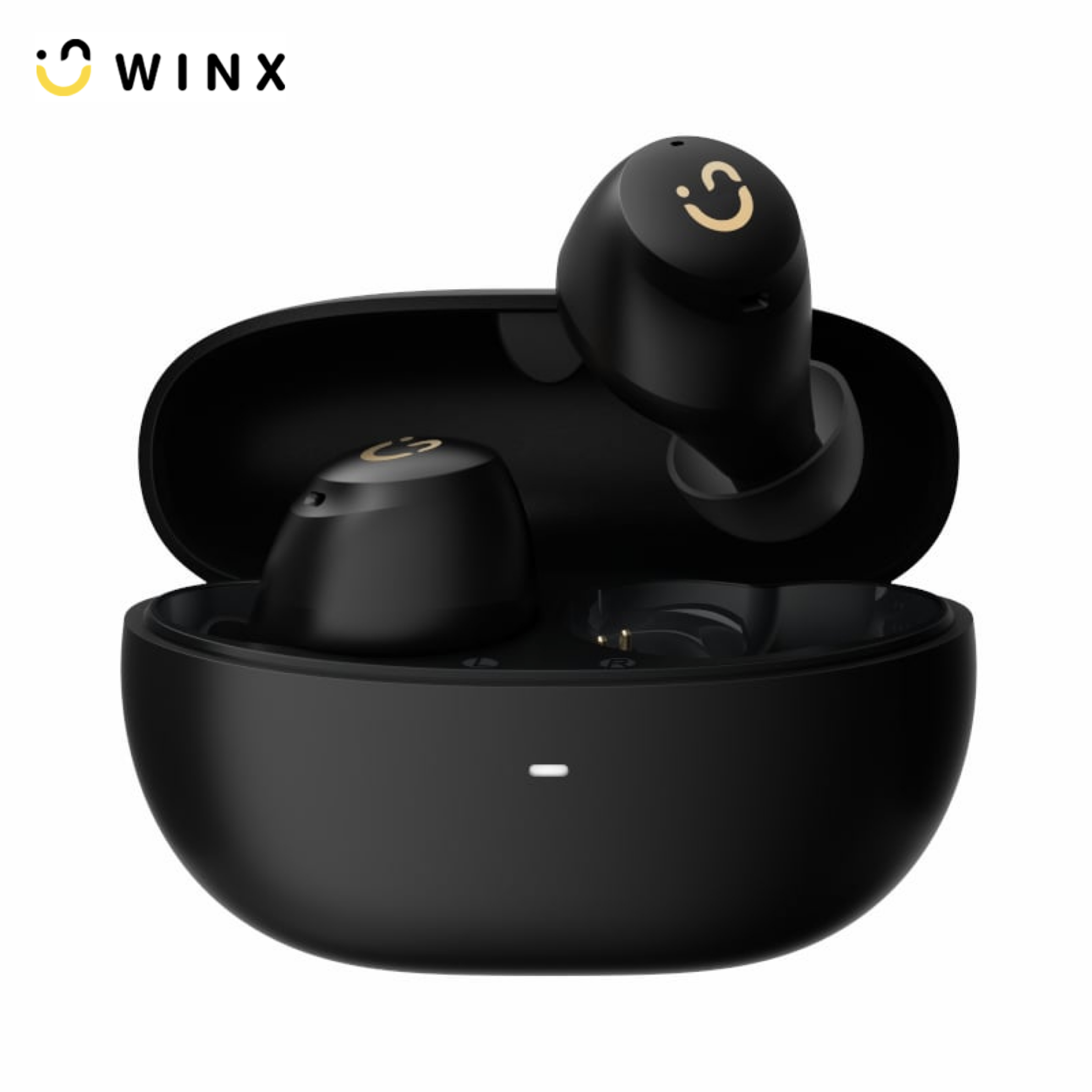 Vibe Active 2 Hybrid ANC Earbuds