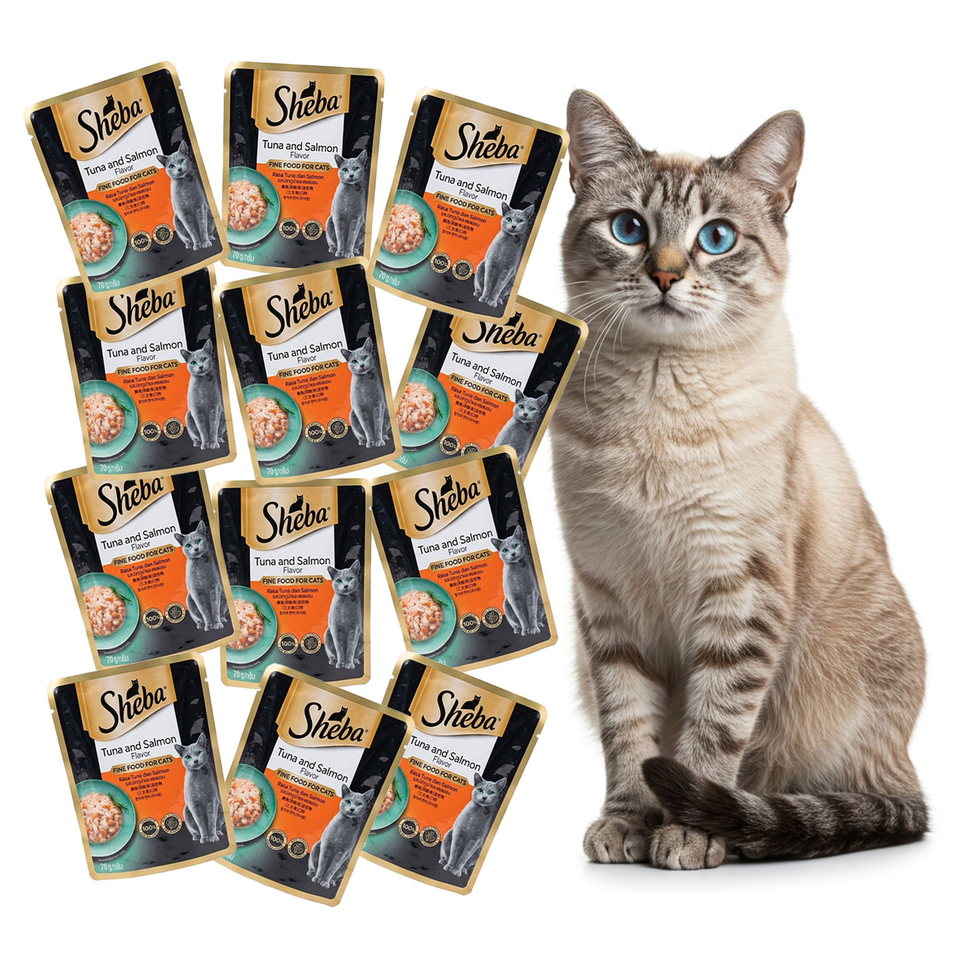 70g Wet Cat Food (12's)