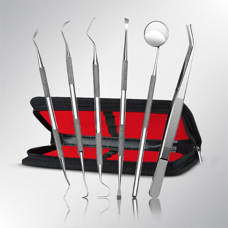 6-Piece Stainless Steel Dental Hygiene Kit with Carry Case