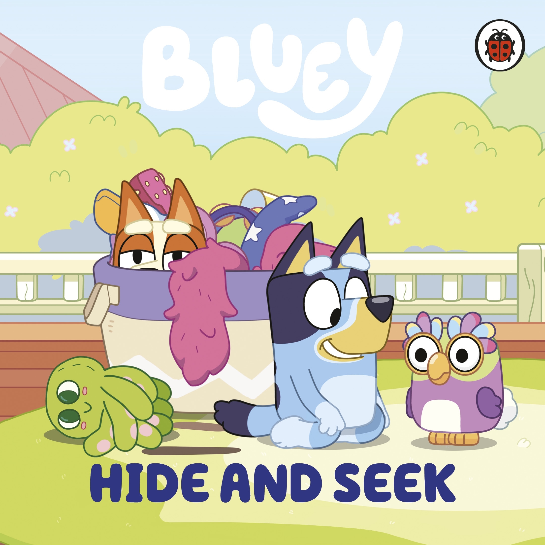Hide and Seek Board Book