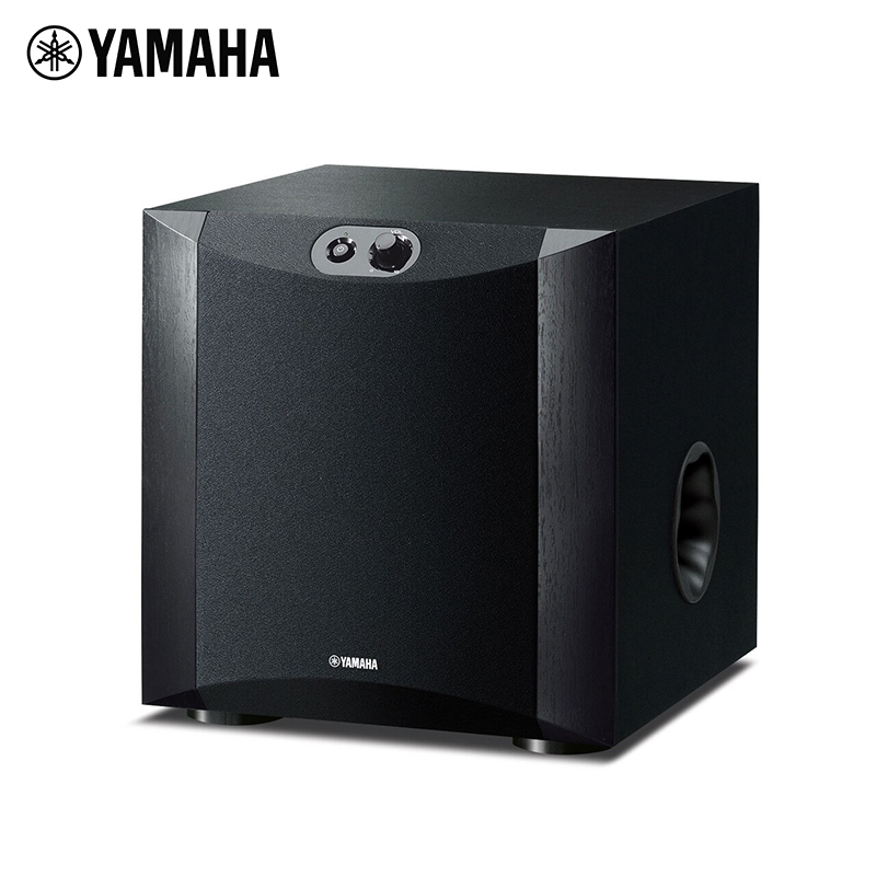 130W Powered Subwoofer (Model: NS-SW200)