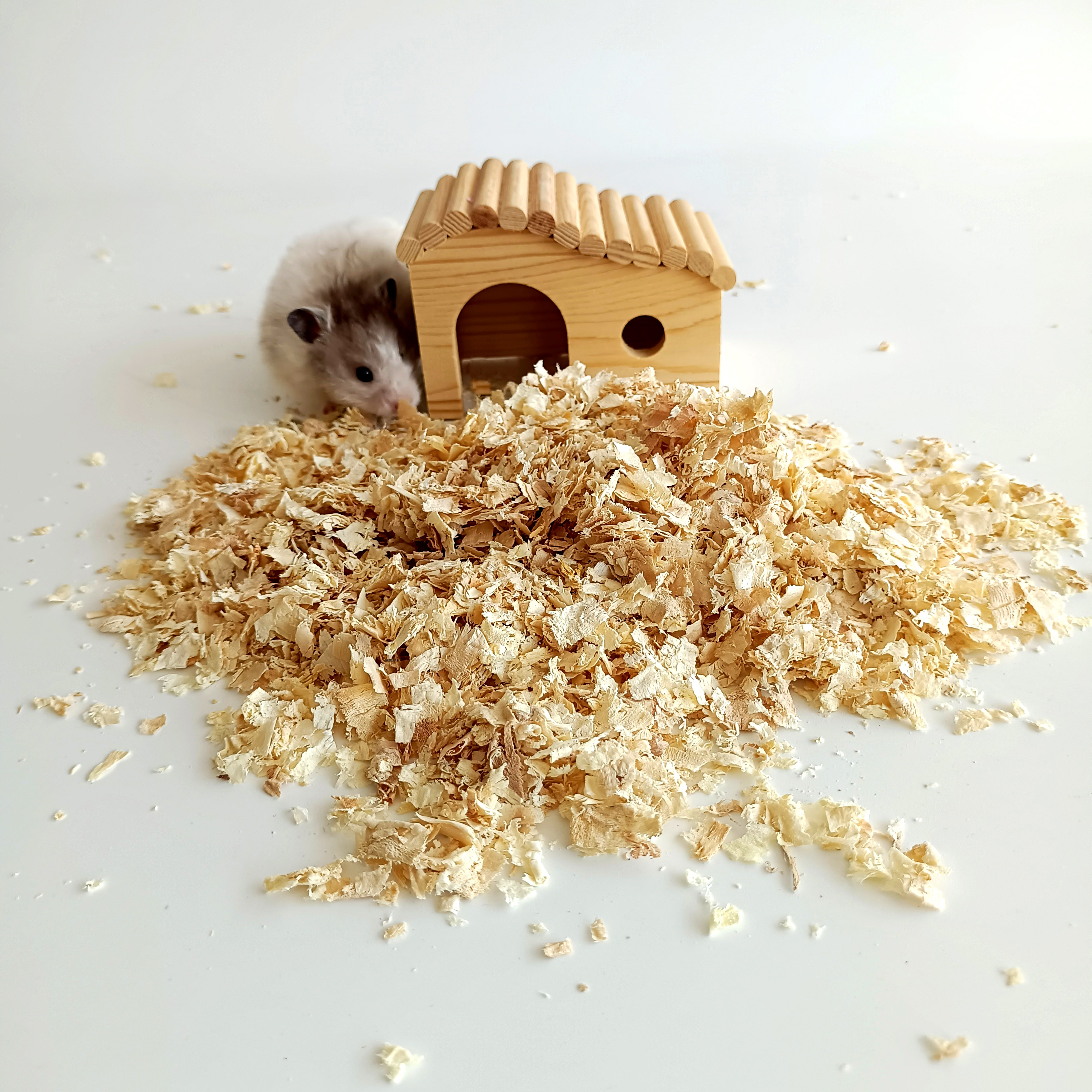 1kg Scented Natural Wood Shavings for Hamsters & Small Pets