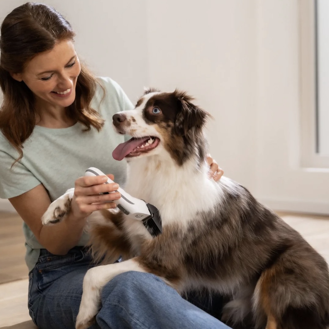 Rechargeable Pet Fur Trimmer and Clipper