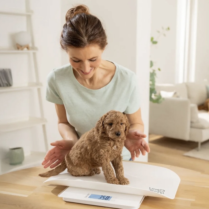 Digital Polly Pet Bathroom Scale