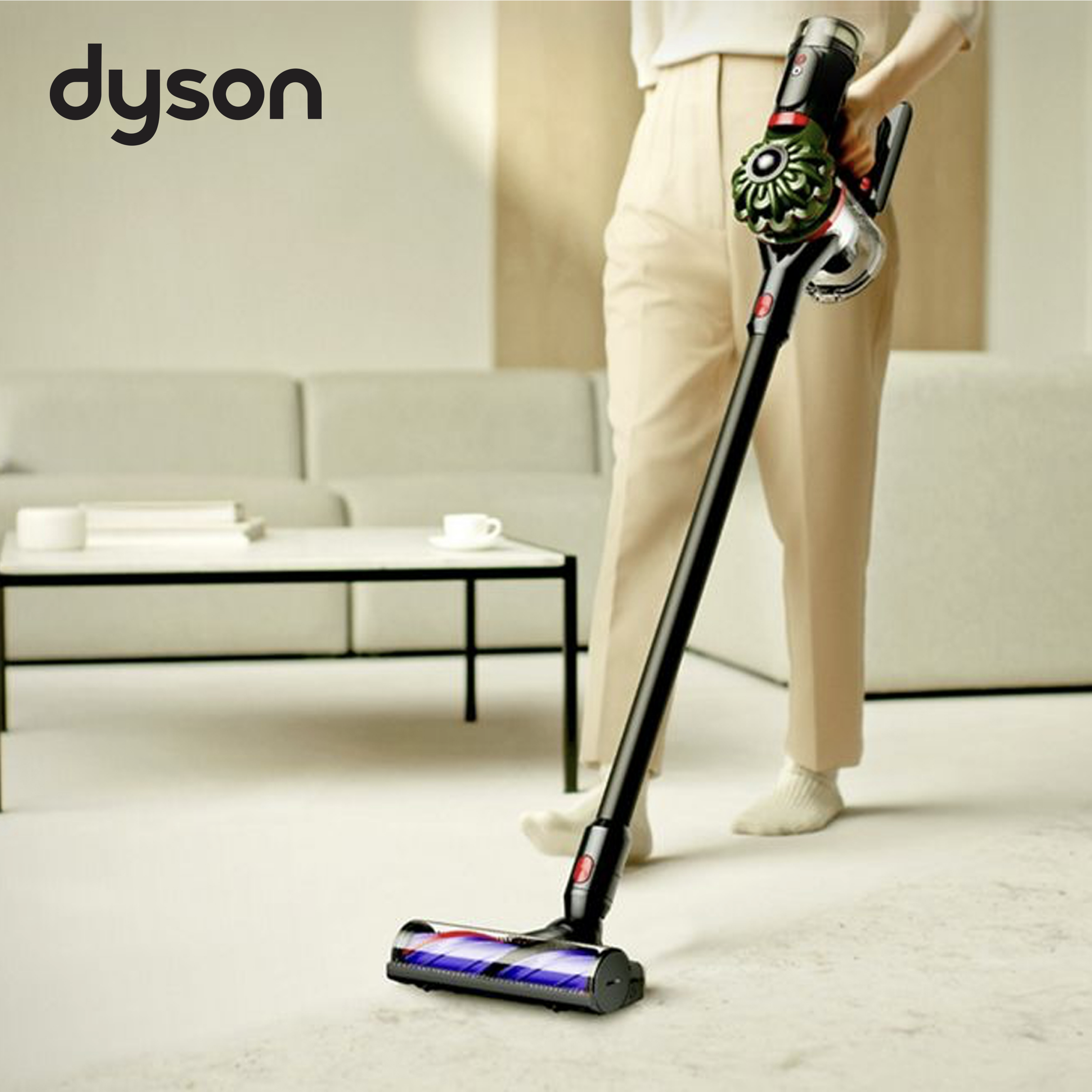 V8 Cyclone™ Cordless Vacuum(Model: SV55)