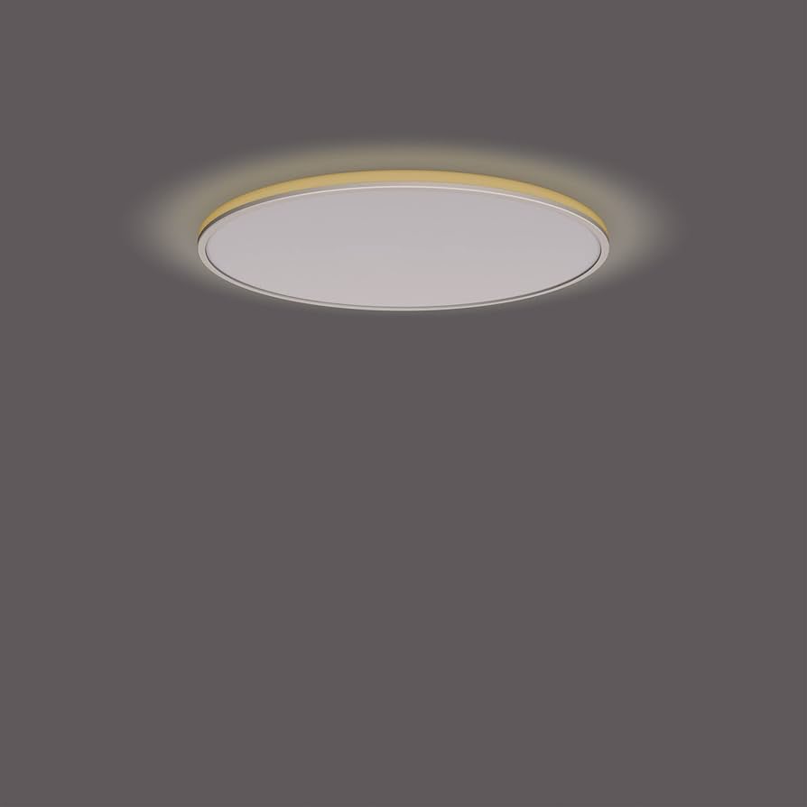 Ozziet LED Ceiling Light