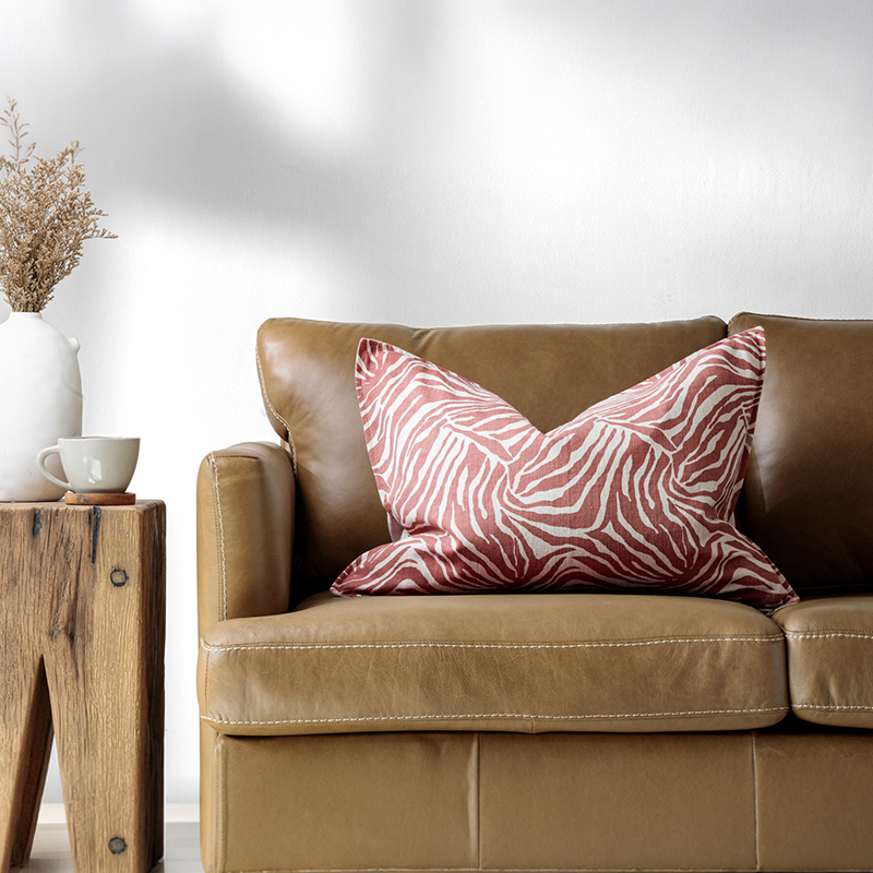 Zebra Scatter Cushion