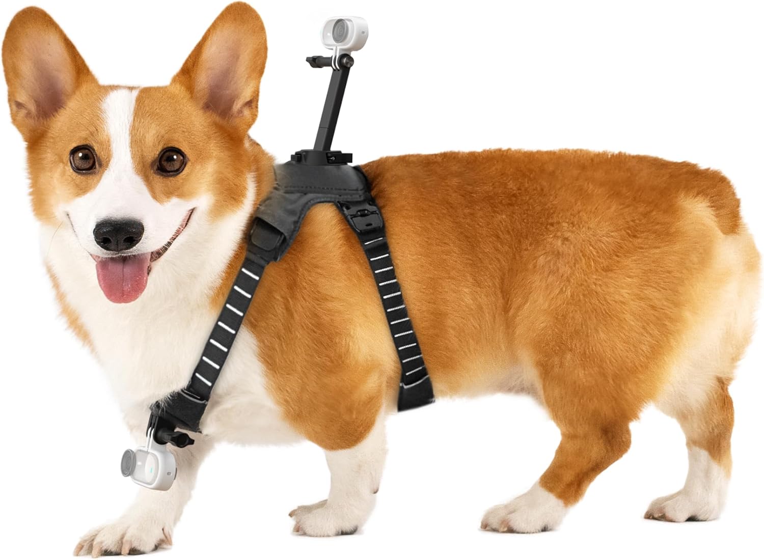 Medium Pet Harness Mount