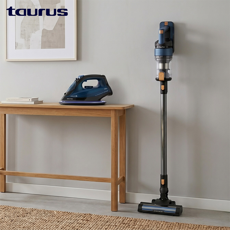 Home Cordless Stick Vac & Iron Bundle