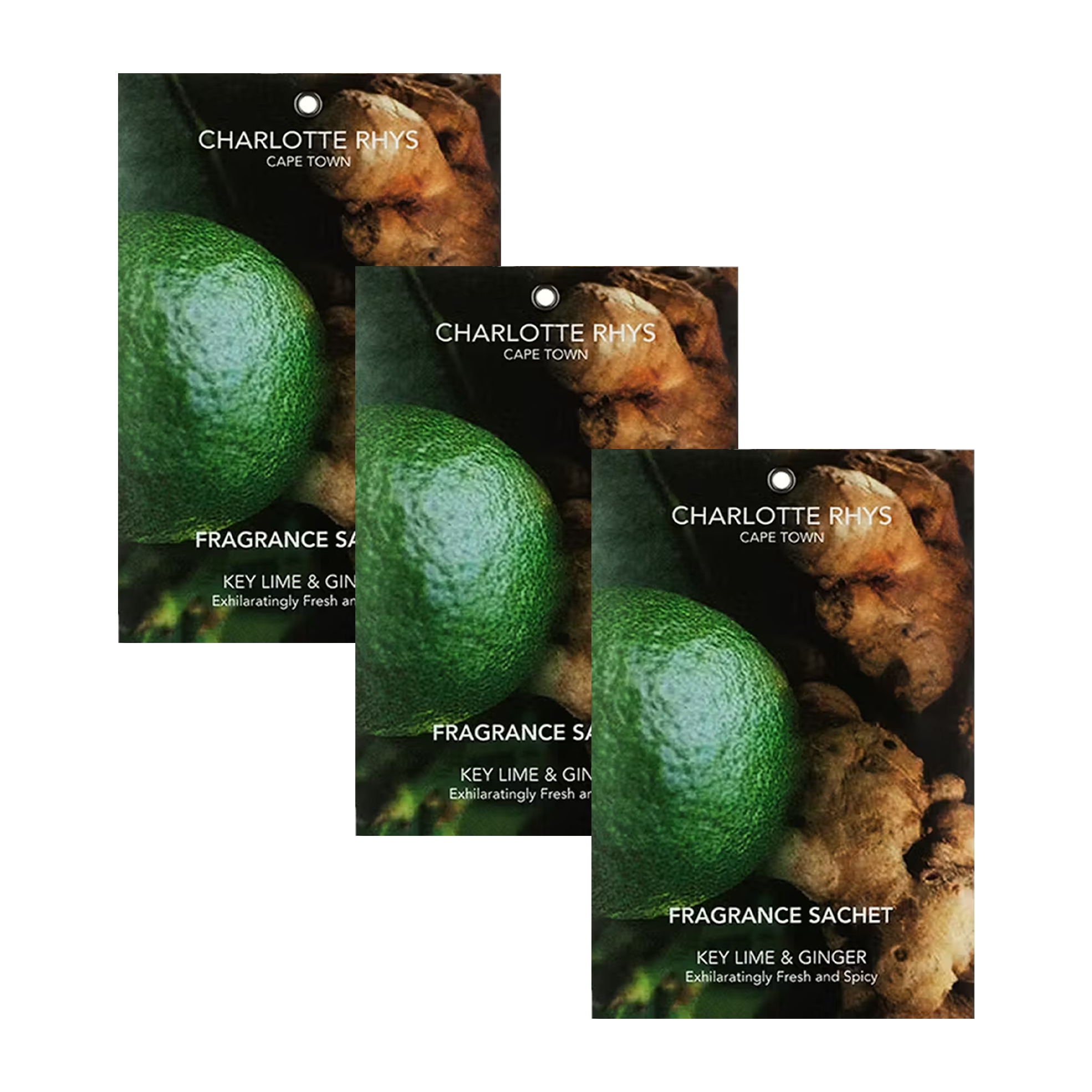 Key Lime & Ginger - Bundle Contents