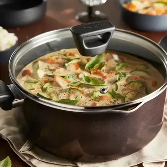 Intense Stew Pot with Lid