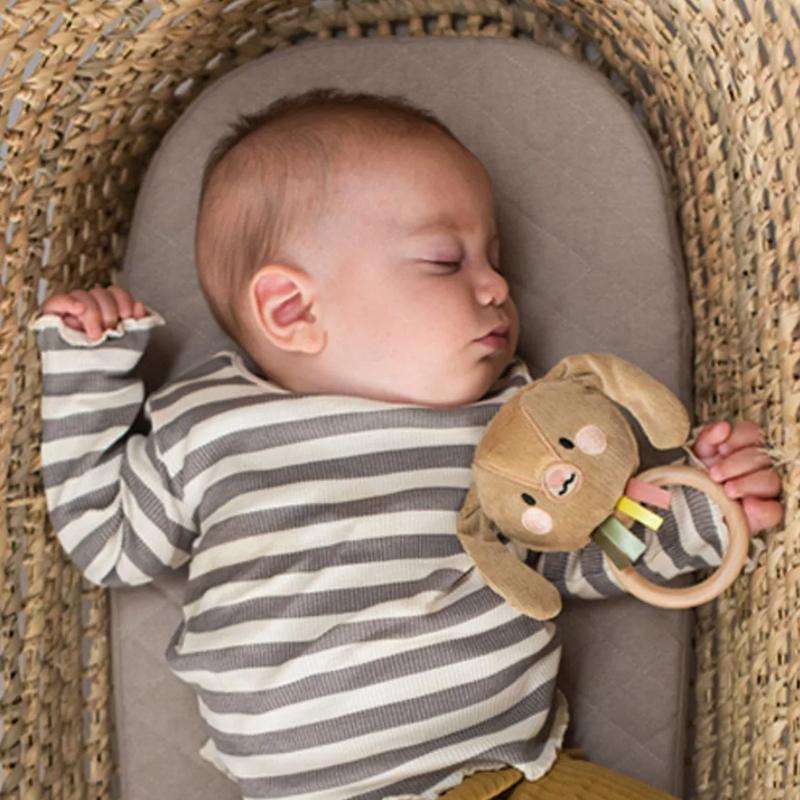 Jenny Bunny Rattle