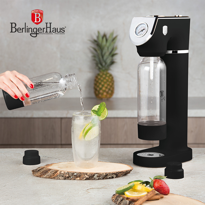 Stainless Steel Soda Maker with 2 Bottles