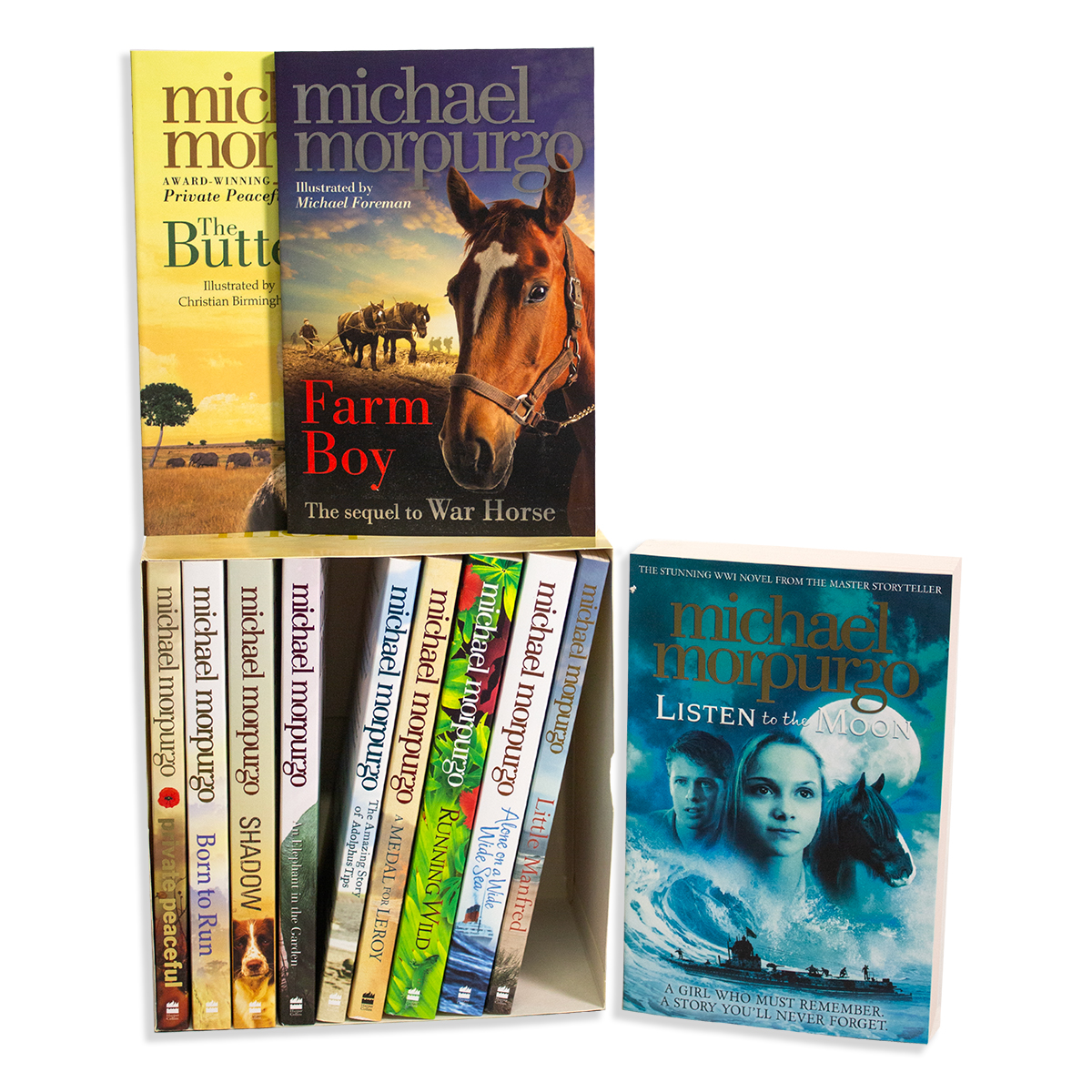 Popular Fiction Collection (12 Books)