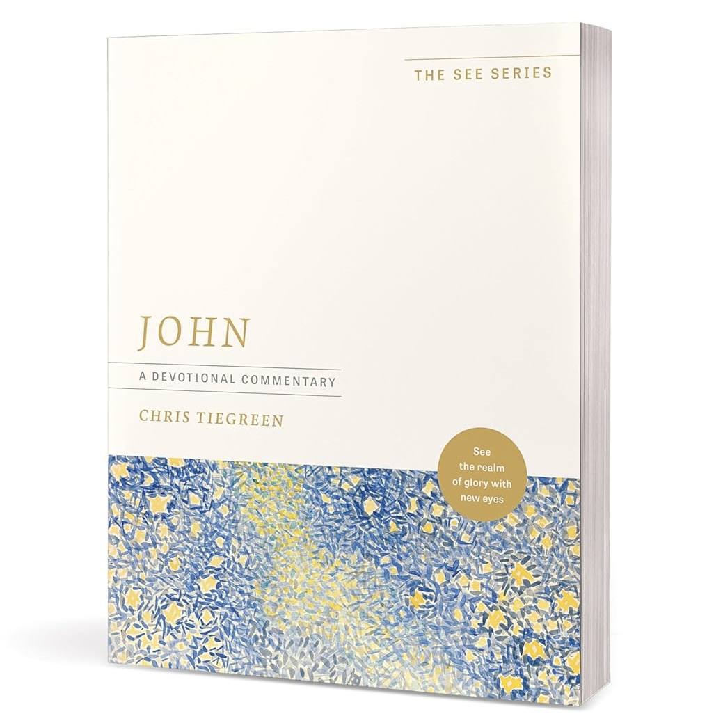 John: A Devotional Commentary: See the Realm of Glory with New Eyes (Paperback)