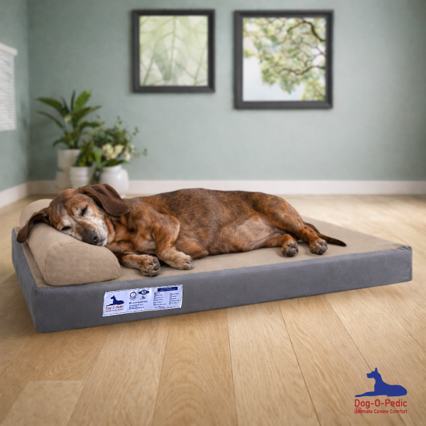 Stimulated Latex Foam Pharoah Orthopedic Mattress