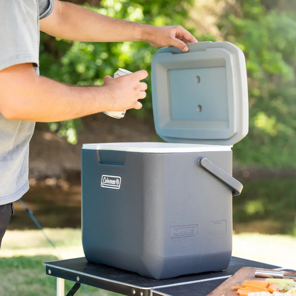 28L Daintree Personal Hard Cooler Box