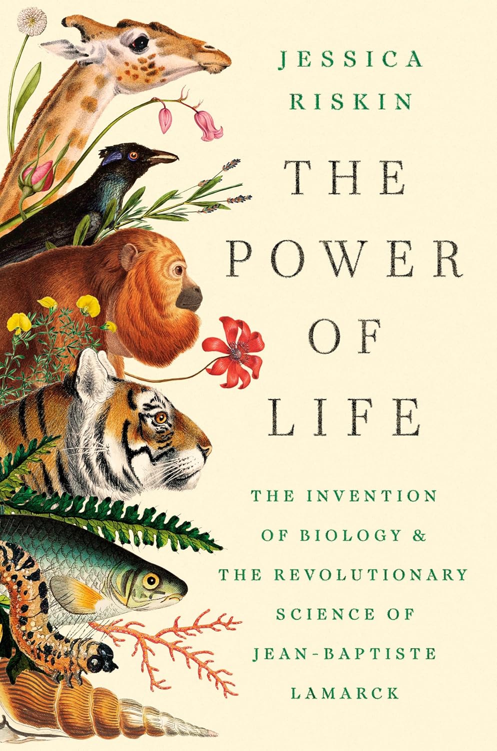 The Power of Life (Hardcover)