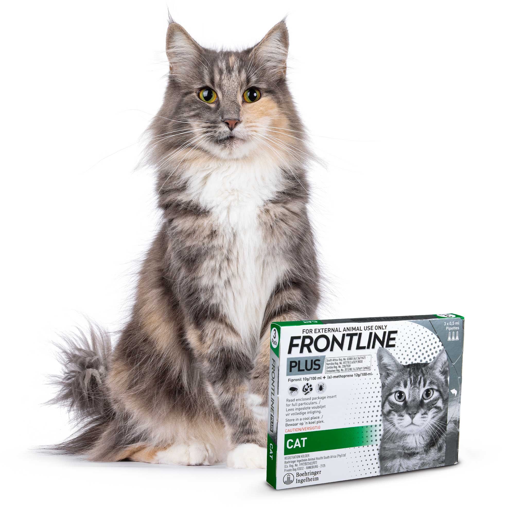 3x 3's Tick and Flea Protection Pipettes For Cats
