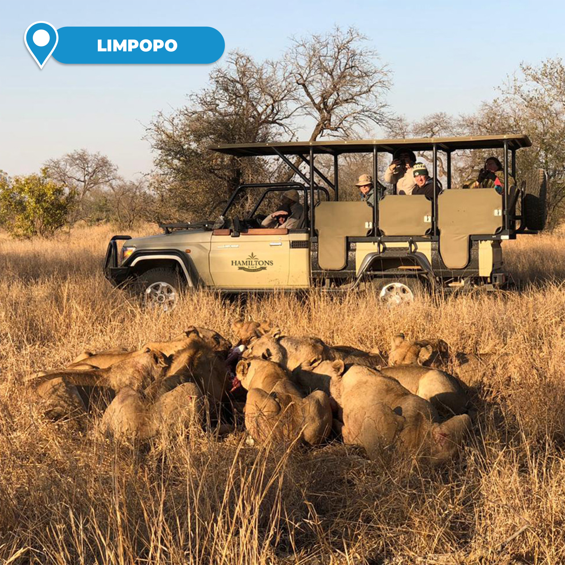 2 or 3-Night Stay in Luxury Tented Camp for 2 People Sharing