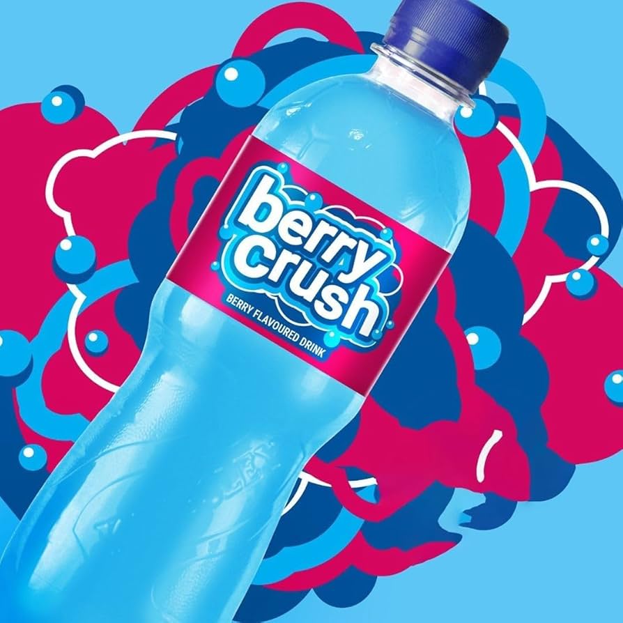 24x 500ml Fruit Flavoured Drinks