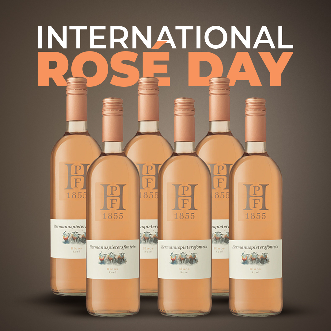 6x Bloos Rosé 2025