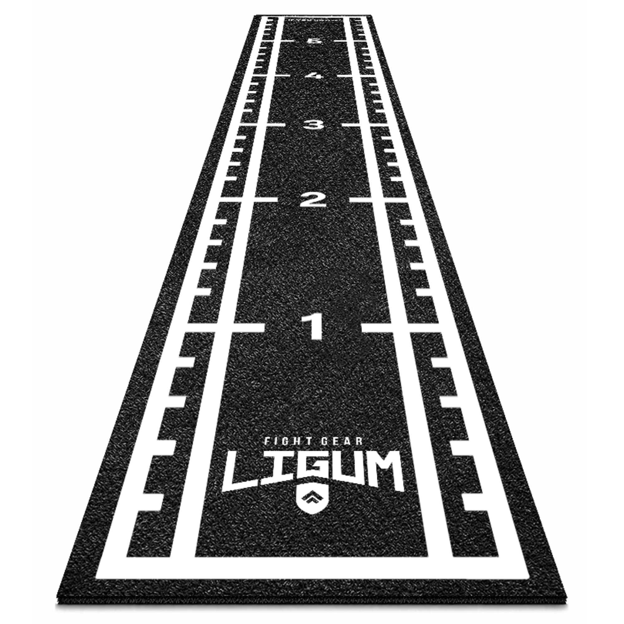 Performance Agility Professional Astro Sled Track