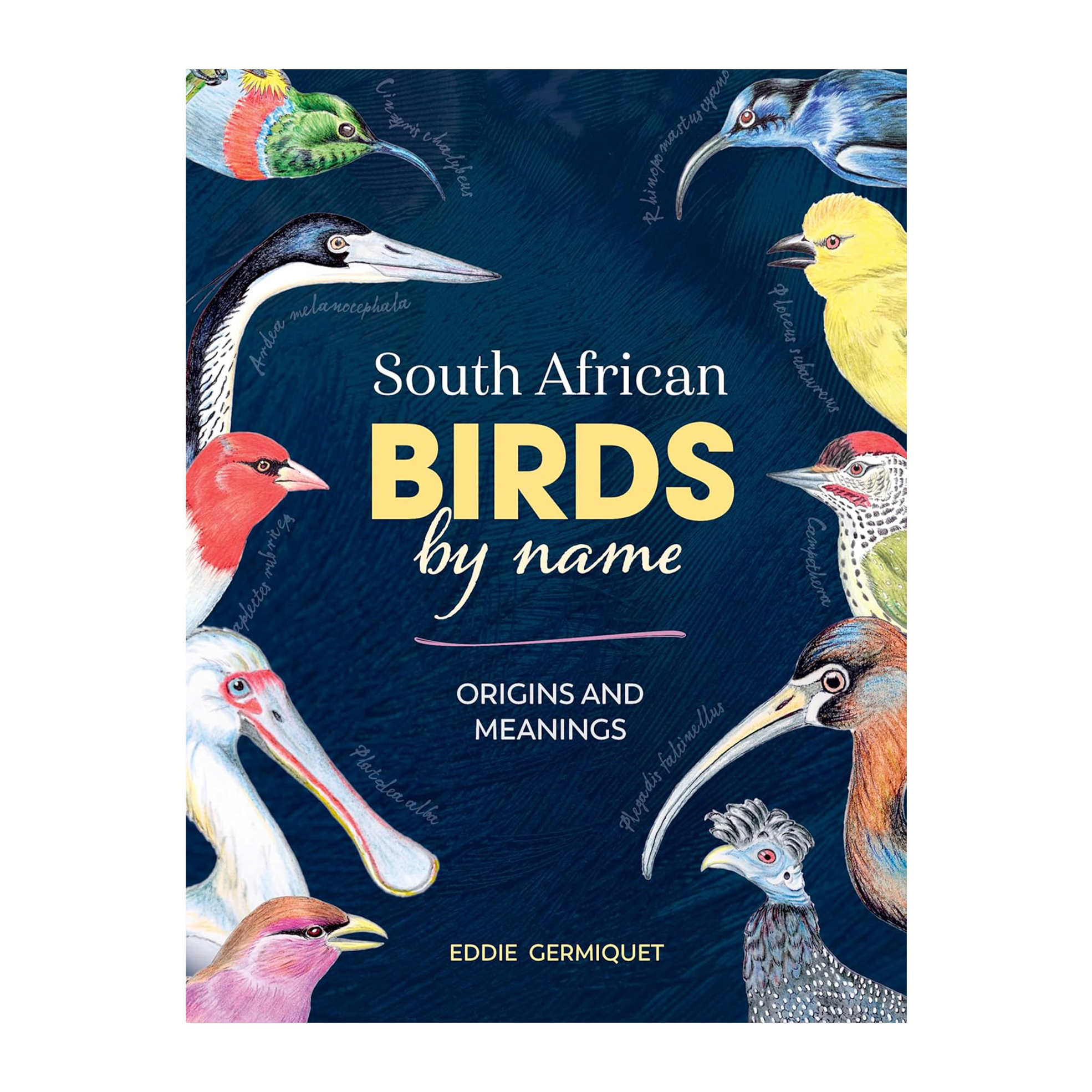 South African Birds by Name: Origins and Meanings (Hardcover)