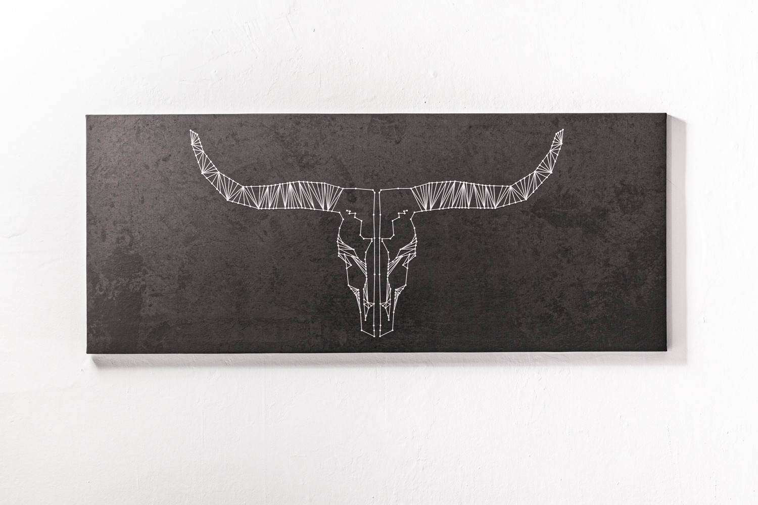 Longhorns
