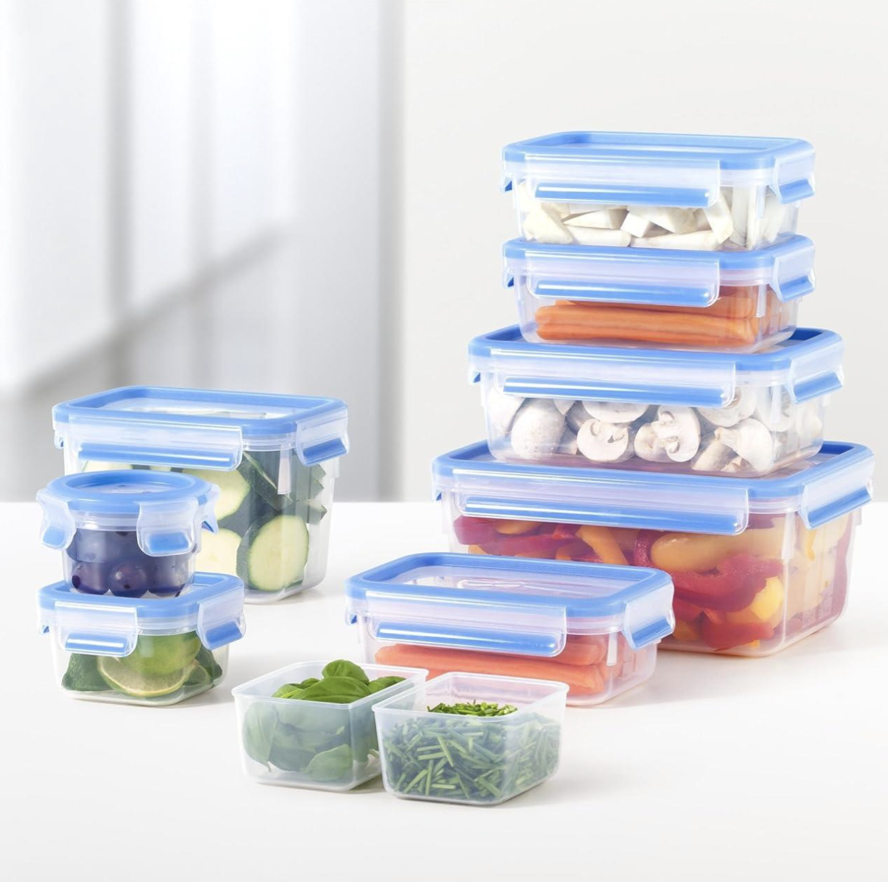 Masterseal Fresh Food Storage Container