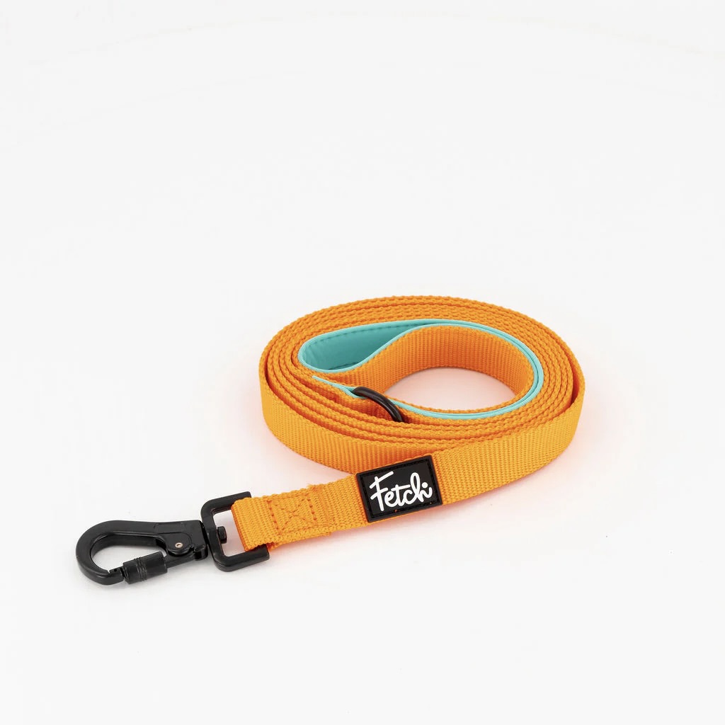Sunny Leash