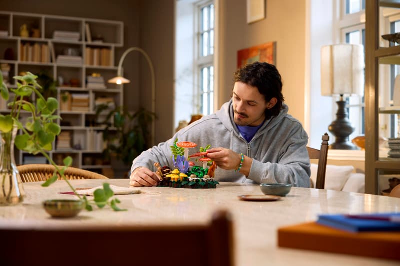 21% off on LEGO 806-Piece Woodland Mushrooms | OneDayOnly