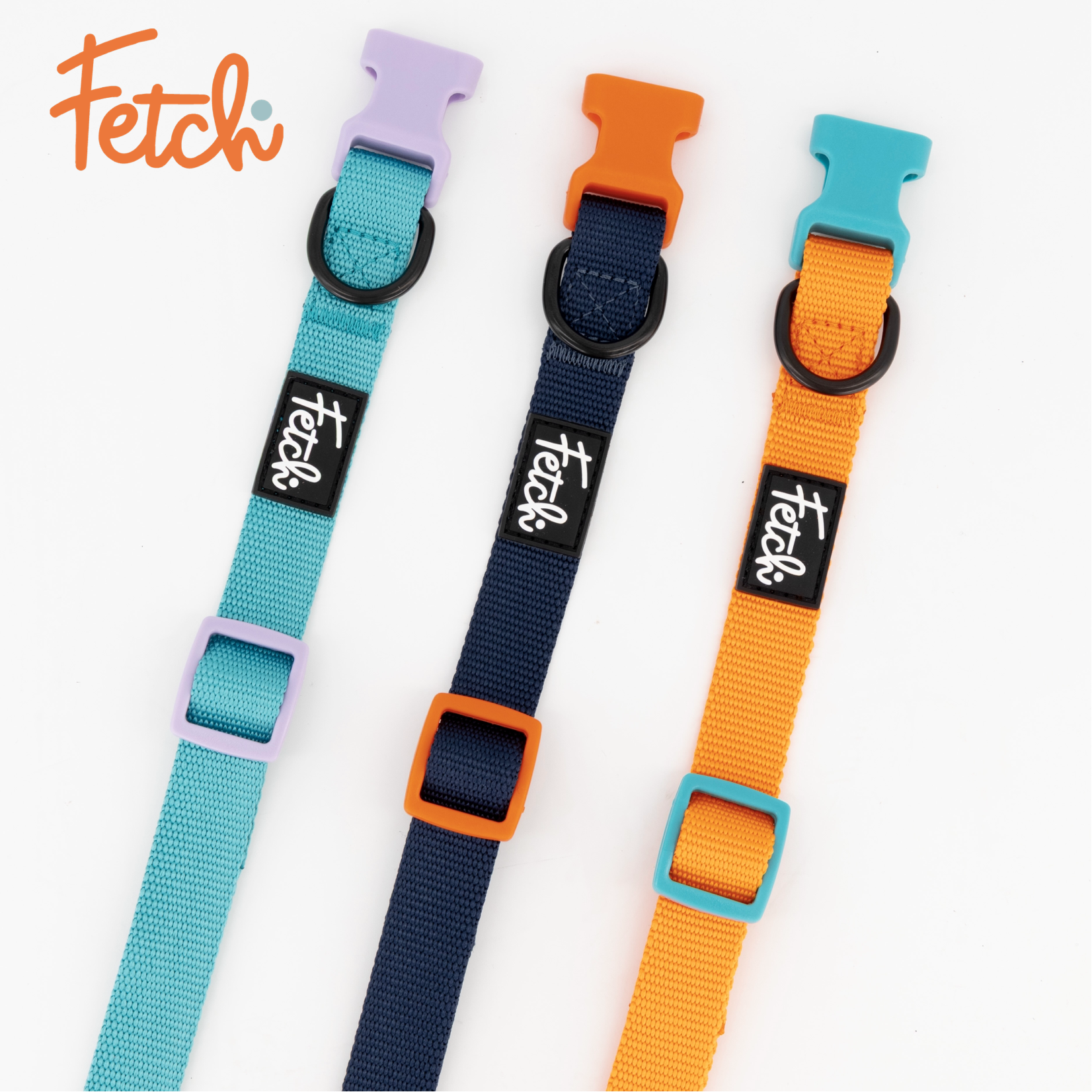 Recycled Dog Collar