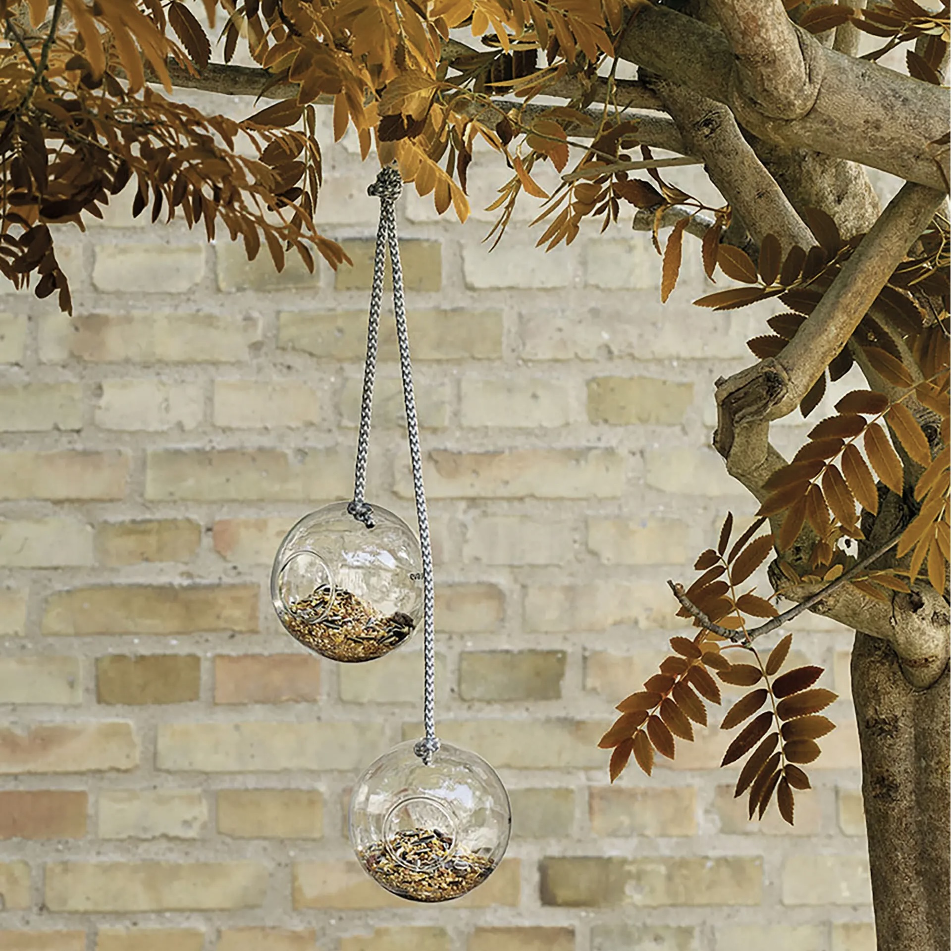Glass Hanging Bird Feeders