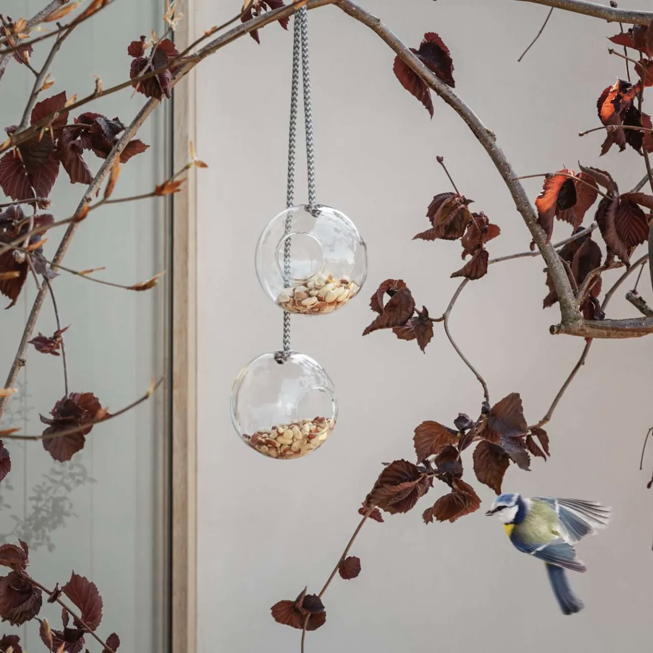 Garden Bird Feeders