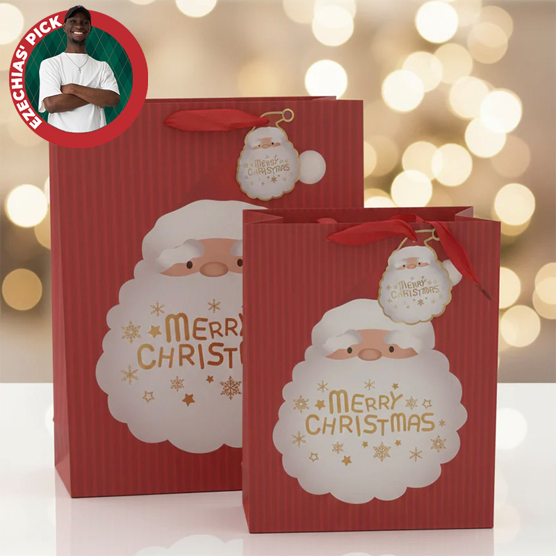 2x Christmas Gift Bags