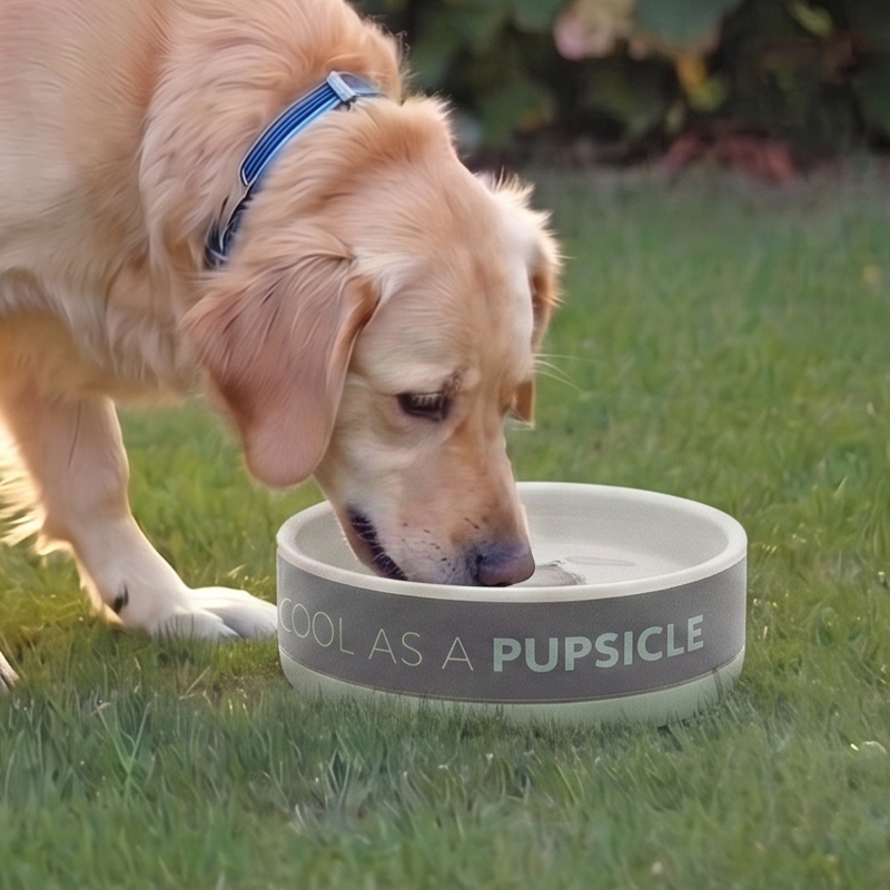 Ceramic Pet Bowl