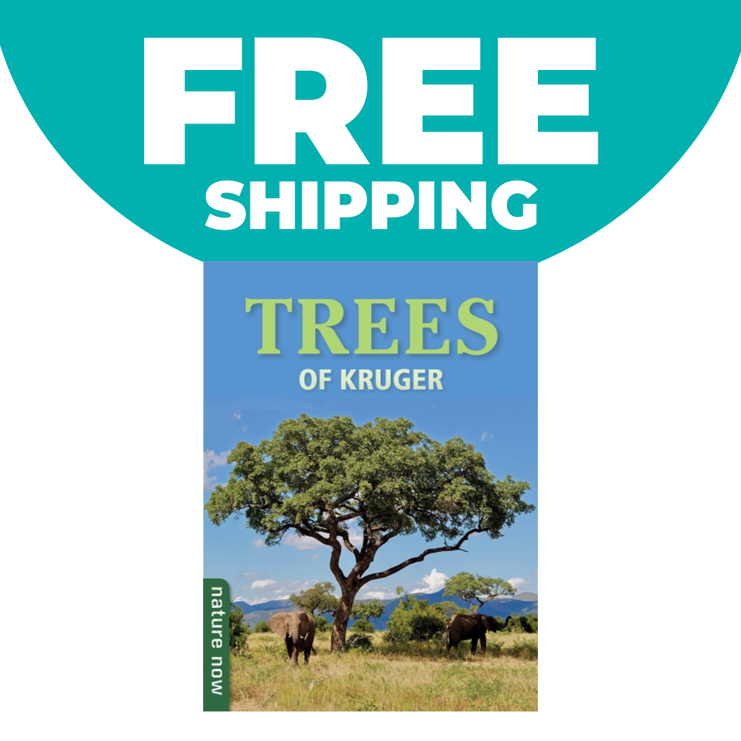 Nature Now: Trees of Kruger (Paperback)