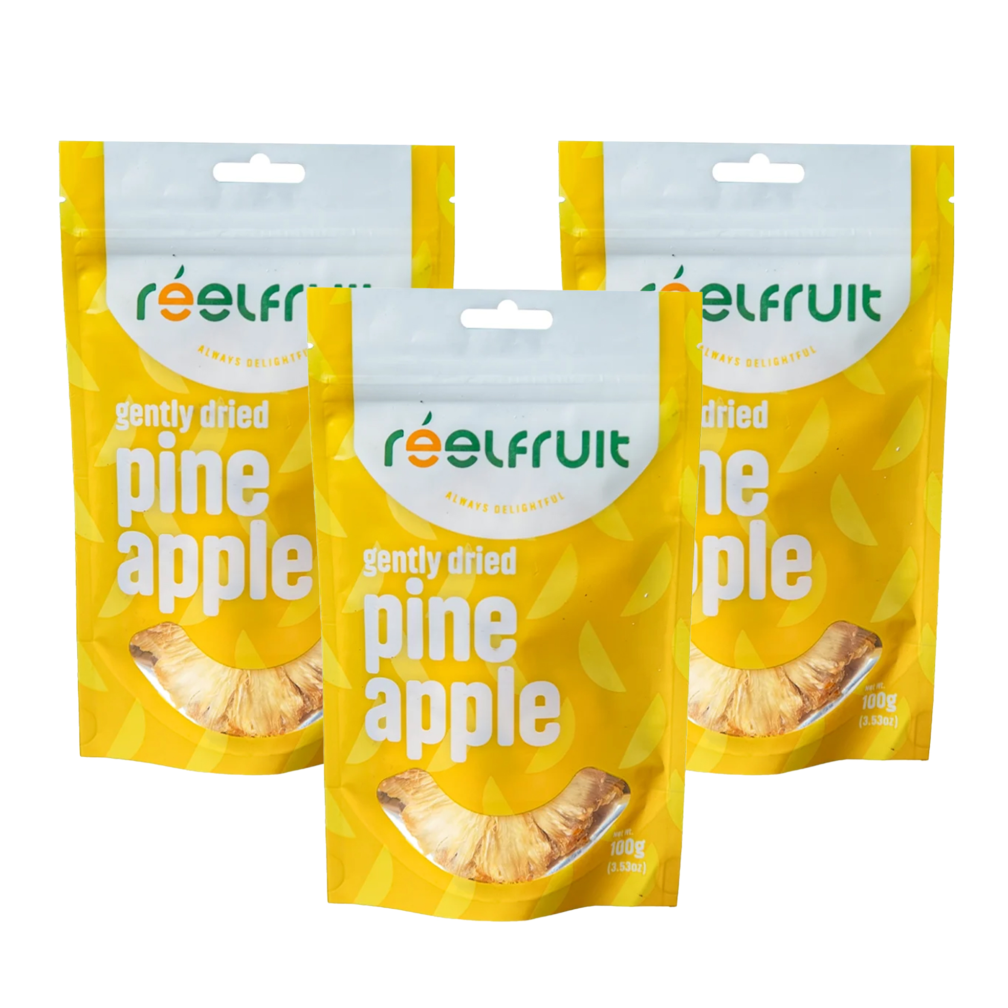 Pineapple - Bundle Contents